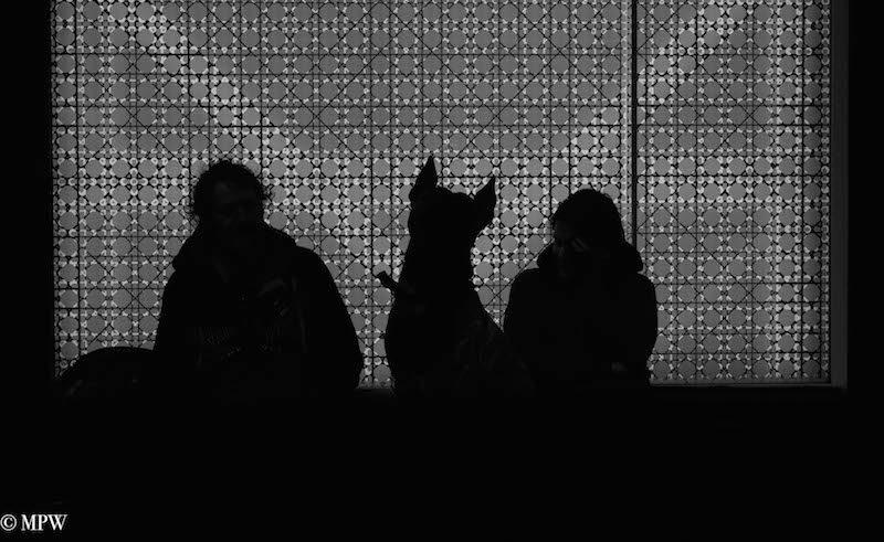mike wheelton black and white, colour street photography Queen Street Auckland city