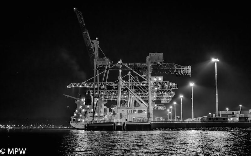 port of tauranga