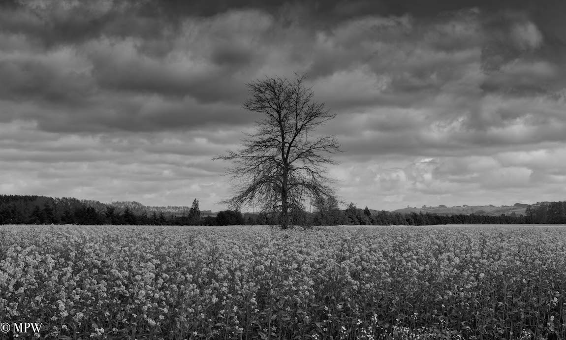 mike wheelton photography sea and landscapes