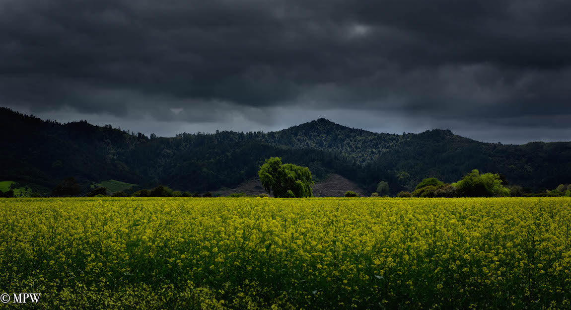 mike wheelton photography sea and landscapes