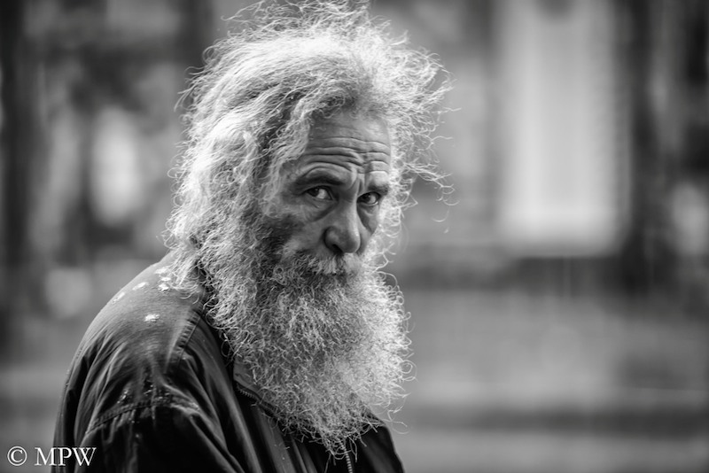Auckland City street photo, Queent St, black and white