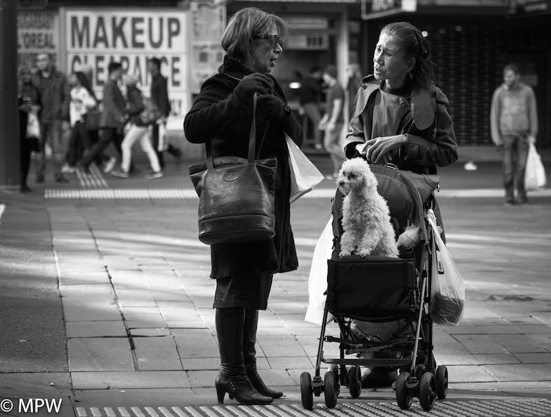 black and white photos queen street auckland mike wheelton