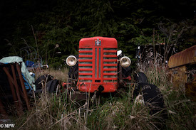 A series of photos taken using the headlamps of wrecked cars as the focus point.