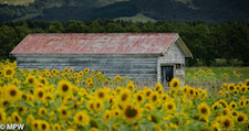 mike wheelton photography