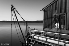 Black and white photo of Tauranga harbour