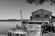 Black and white photo on Tauranga harbour