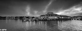 black and white auckland photos