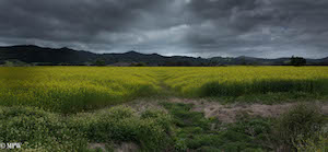 mike wheelton photography sea and landscapes