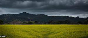 mike wheelton photography sea and landscapes