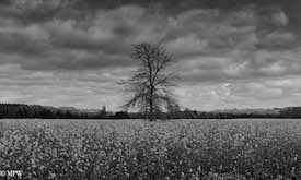 mike wheelton photography sea and landscapes