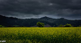 mike wheelton photography sea and landscapes