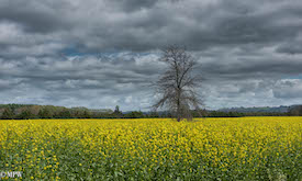 mike wheelton photography sea and landscapes