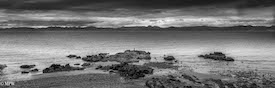 mike wheelton photography