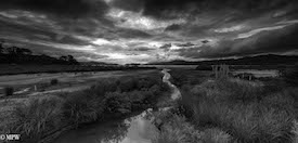 mike wheelton photography