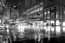 Auckland City, New Zealand on a wet and rainy night