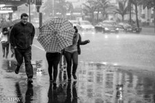 Queen Street Auckland city, black and white photo by Mike Wheelton