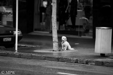 Queen Street Auckland city, black and white photo by Mike Wheelton