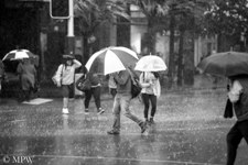 Queen Street Auckland city, black and white photo by Mike Wheelton