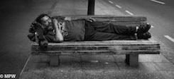 black and white photos queen street auckland