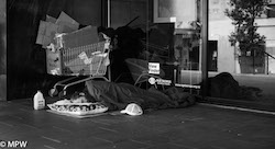black and white photos queen street auckland mike wheelton