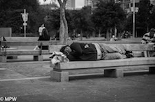 sleepers of queen street auckland mike wheelton
