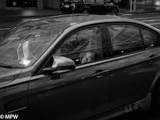 mike wheelton photography