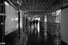 mike wheelton black and white, colour street photography Queen Street Auckland city