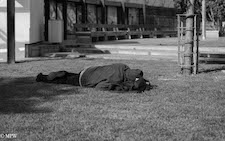 mike wheelton black and white, colour street photography Queen Street Auckland city