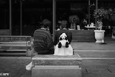 mike wheelton black and white, colour street photography Queen Street Auckland city