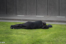 Mike Wheelton. The largest collection of colour, black and white street photography. Taken in and around Queen Street, Auckland city, New Zealand.
