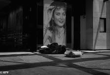Mike Wheelton. The largest collection of colour, black and white street photography. Taken in and around Queen Street, Auckland city, New Zealand.