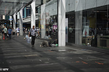 
Mike Wheelton photo storyteller. The largest collection of colour, black and white street photography. Taken in and around Queen Street, Auckland city, New Zealand.
Special thanks to the Auckland City Council.