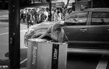 Mike Wheelton photo storyteller. The largest collection of colour, black and white street photography. Taken in and around Queen Street, Auckland city, New Zealand.