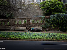 Mike Wheelton photo storyteller. The largest collection of colour, black and white street photography. Taken in and around Queen Street, Auckland city, New Zealand.