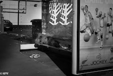 Mike Wheelton photo storyteller. The largest collection of colour, black and white street photography. Taken in and around Queen Street, Auckland city, New Zealand.