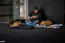 Mike Wheelton photo storyteller. The largest collection of colour, black and white street photography. Taken in and around Queen Street, Auckland city, New Zealand.