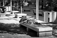 Mike Wheelton photo storyteller. The largest collection of colour, black and white street photography. Taken in and around Queen Street, Auckland city, New Zealand.
Special thanks to the Auckland City Council and the National Government.