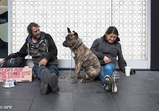 Mike Wheelton street photographer. Colour and black and white. Queen Street, Auckland city, New Zealand.