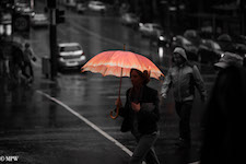 Mike Wheelton photo storyteller. The largest collection of colour, black and white street photography. Taken in and around Queen Street, Auckland city, New Zealand.
