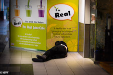 Mike Wheelton street photographer. Colour and black and white. Queen Street, Auckland city, New Zealand.